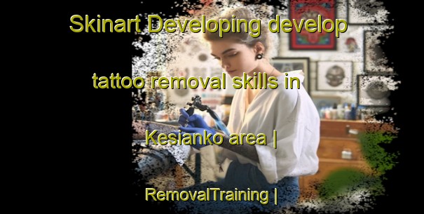 Skinart Developing develop tattoo removal skills in Kesianko area | RemovalTraining | RemovalClasses | SkinartTraining-Côte d Ivoire